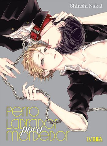 perroladradorpocomordedor