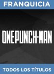 f_onepunch