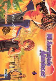 mianaranjadoatardecer1