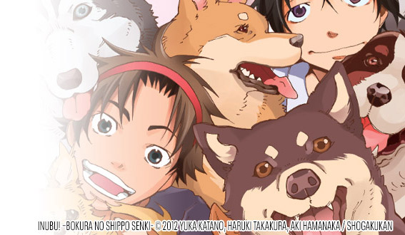 final-perros-m