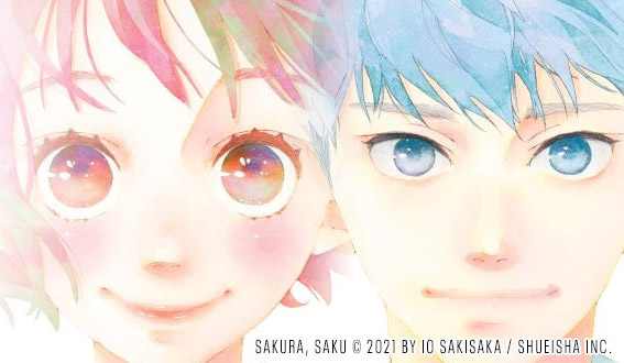 final-sakurasaku-m