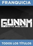 f_gunnm