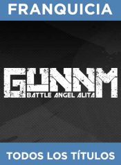 f_gunnm