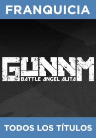 f_gunnm